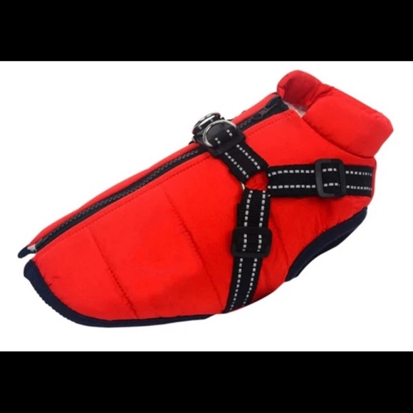 Winter Jacket for small breed Dog in Red - Picture 1 of 5